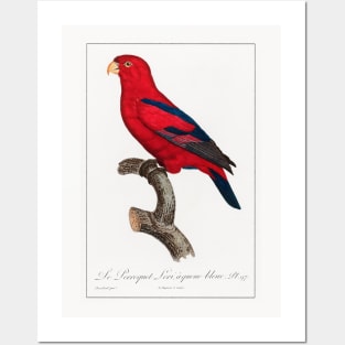 The Red Lory (1801—1805) Posters and Art